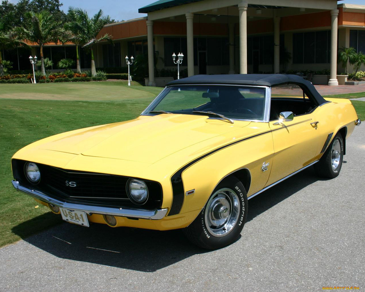 , camaro
